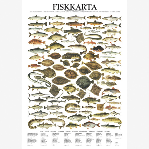 Poleret midlertidig Prædiken Plakat med fisk | Danske Torpare